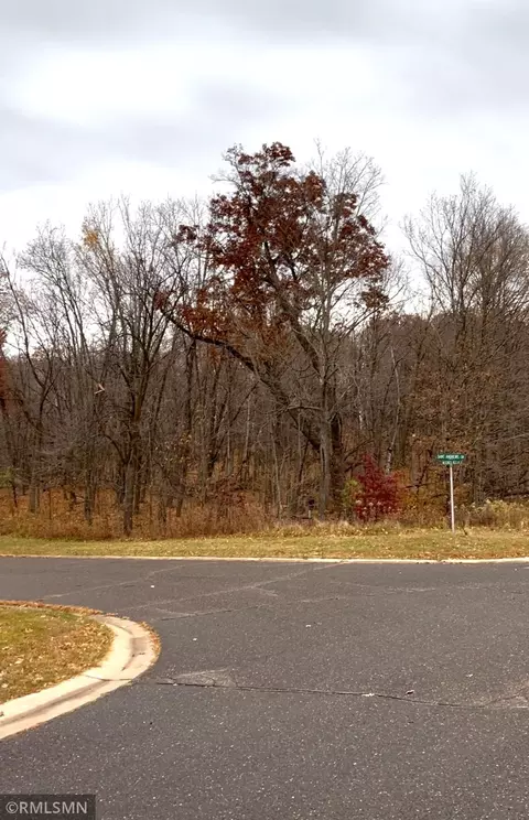 lot18 Wilderness Hills Ln, Luck, WI 54853