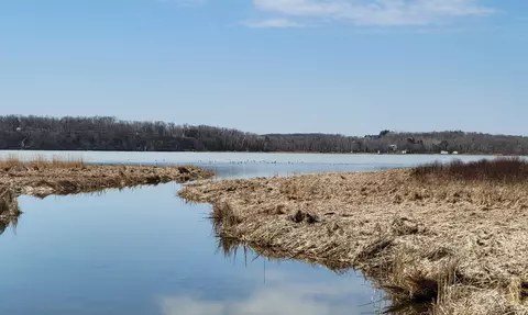 512 Nn Leaf River Road Tract A, Ottertail, MN 56571 photo 13