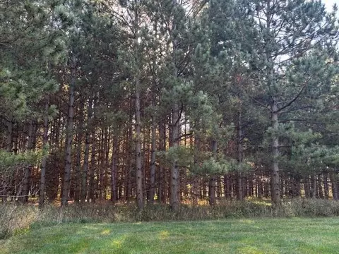 Nnn Emerald Court Ne, Carlos, MN 56319
