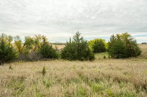 tbd 730th Ave, Olivia, MN 56277 photo 42