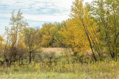 tbd 730th Ave, Olivia, MN 56277 photo 35
