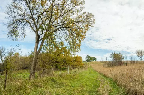 tbd 730th Ave, Olivia, MN 56277 photo 34