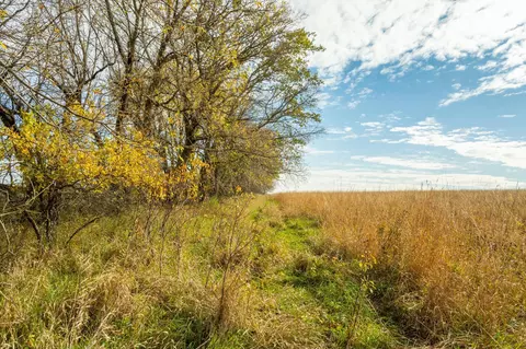 tbd 730th Ave, Olivia, MN 56277 photo 61