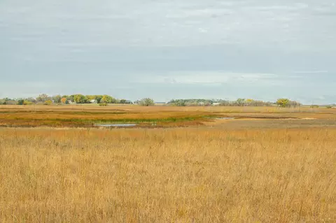 tbd 730th Ave, Olivia, MN 56277 photo 71