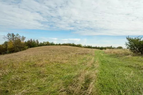 tbd 730th Ave, Olivia, MN 56277 photo 55