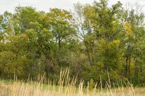 tbd 730th Ave, Olivia, MN 56277 photo 46