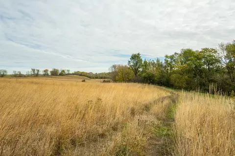tbd 730th Ave, Olivia, MN 56277 photo 38