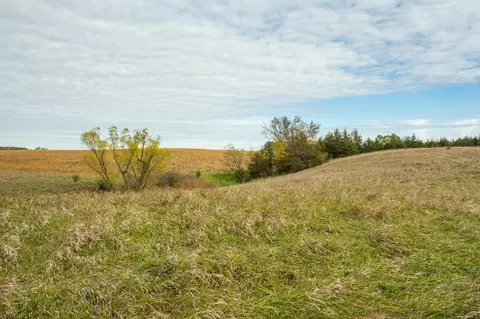tbd 730th Ave, Olivia, MN 56277 photo 52