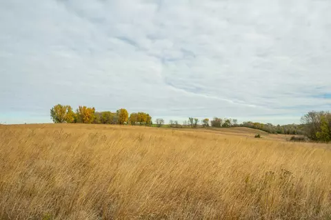 tbd 730th Ave, Olivia, MN 56277 photo 62