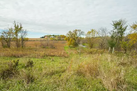 tbd 730th Ave, Olivia, MN 56277 photo 44