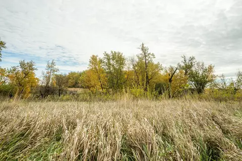 tbd 730th Ave, Olivia, MN 56277 photo 49