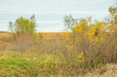 tbd 730th Ave, Olivia, MN 56277 photo 56