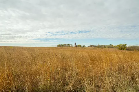 tbd 730th Ave, Olivia, MN 56277 photo 75
