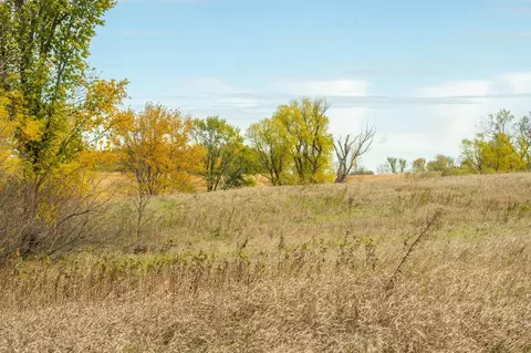 tbd 730th Ave, Olivia, MN 56277 photo 43