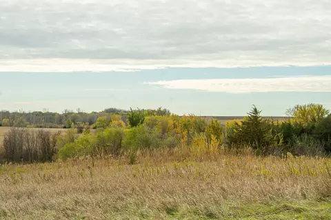 tbd 730th Ave, Olivia, MN 56277 photo 45