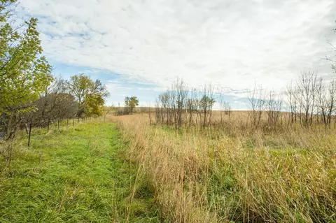 tbd 730th Ave, Olivia, MN 56277 photo 40