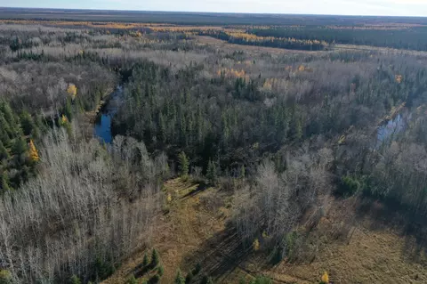 tbd Township Rd 98, Loman, MN 56654