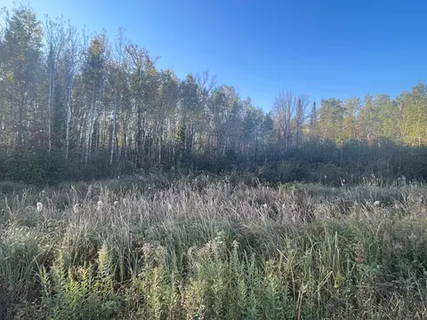 tbd 2 Oak Leaf Rd, Kerrick, MN 55756 photo 11