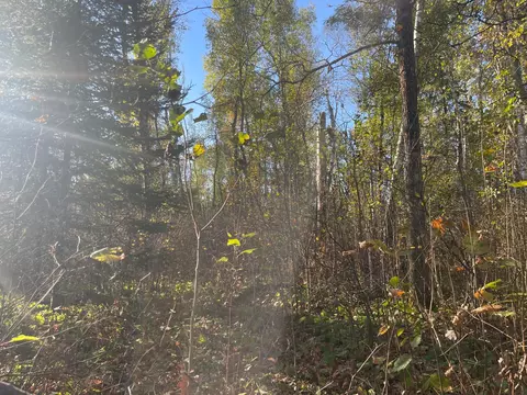 tbd 2 Oak Leaf Rd, Kerrick, MN 55756 photo 9