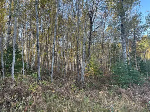 tbd 2 Oak Leaf Rd, Kerrick, MN 55756 photo 8