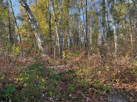 tbd 2 Oak Leaf Rd, Kerrick, MN 55756 photo 3