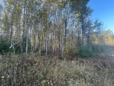 tbd 2 Oak Leaf Rd, Kerrick, MN 55756 photo 5