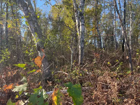 tbd 2 Oak Leaf Rd, Kerrick, MN 55756