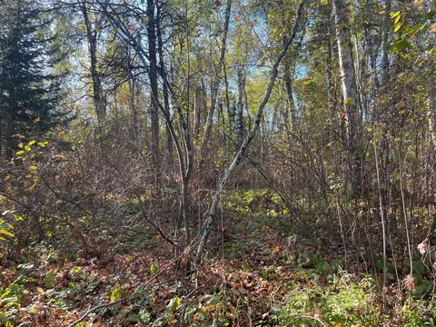 tbd 2 Oak Leaf Rd, Kerrick, MN 55756 photo 2