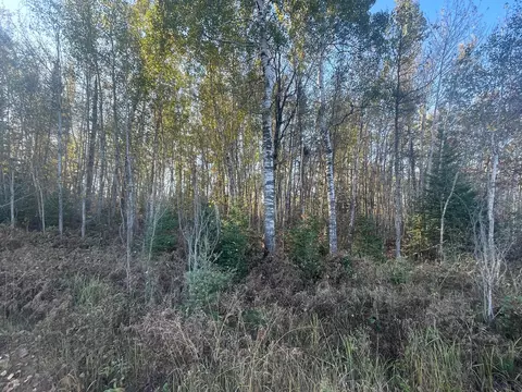tbd 2 Oak Leaf Rd, Kerrick, MN 55756 photo 7