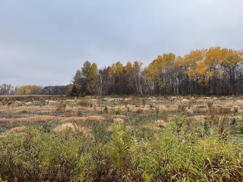 tbd Brunswick Rd, Stanchfield, MN 55080
