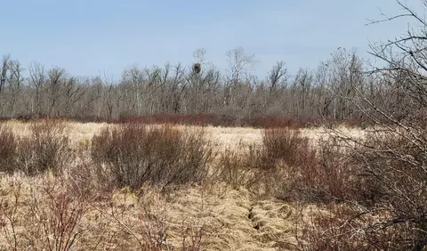 513 Nn Leaf River Road Tract B, Ottertail, MN 56571 photo 9