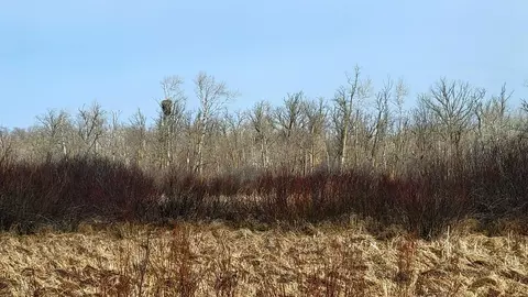 513 Nn Leaf River Road Tract B, Ottertail, MN 56571 photo 10