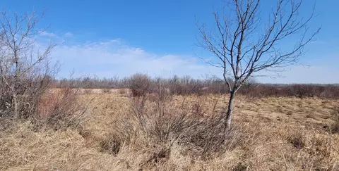 513 Nn Leaf River Road Tract B, Ottertail, MN 56571 photo 15