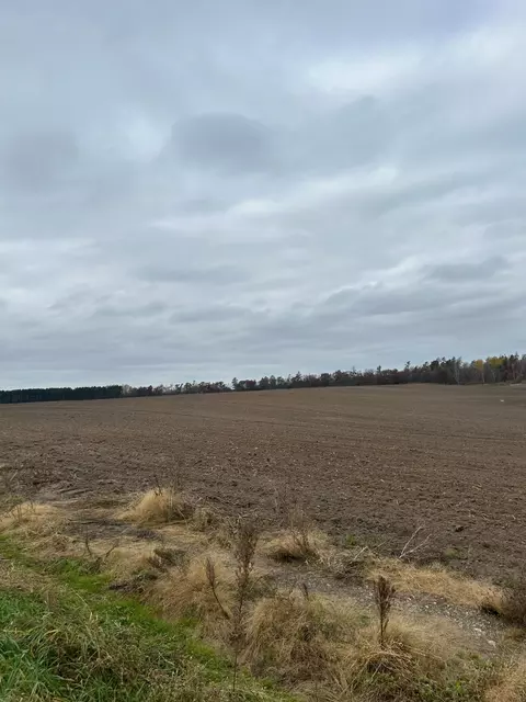 142 Ac Basswood Lake Rd, Ponsford, MN 56575