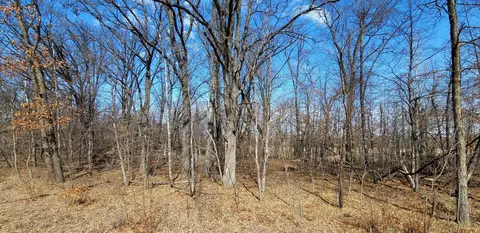 514 Nn Leaf River Road Tract C, Ottertail, MN 56571