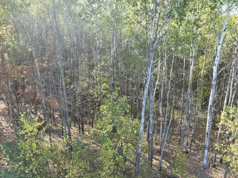 tbd Cedar Crest Loop NW, Walker, MN 56484 photo 11