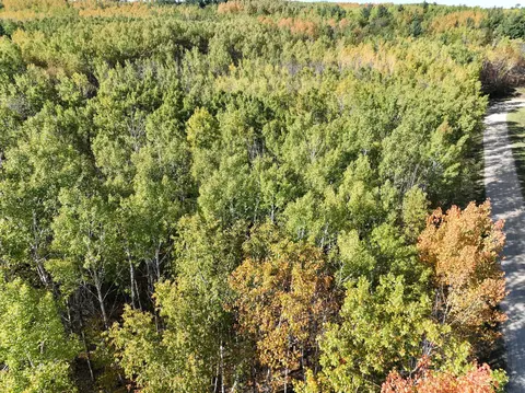 tbd Cedar Crest Loop NW, Walker, MN 56484 photo 5