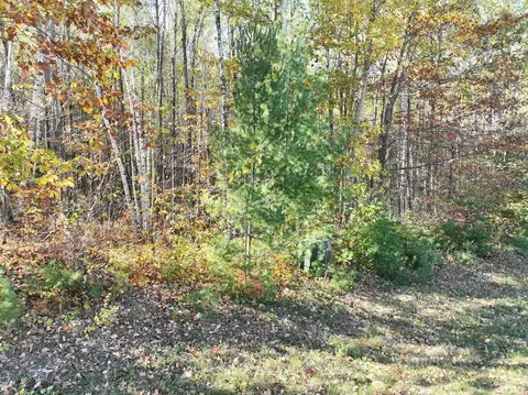 tbd Cedar Crest Loop NW, Walker, MN 56484 photo 10