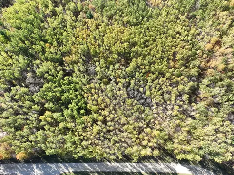 tbd Cedar Crest Loop NW, Walker, MN 56484 photo 7
