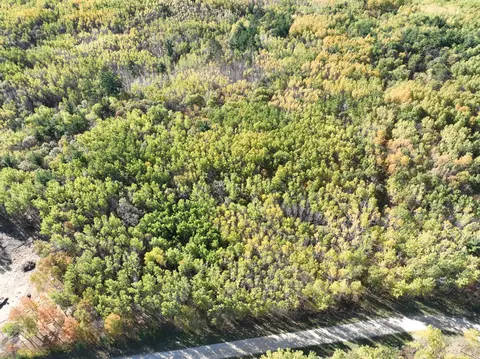 tbd Cedar Crest Loop NW, Walker, MN 56484 photo 9