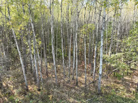tbd Cedar Crest Loop NW, Walker, MN 56484 photo 4