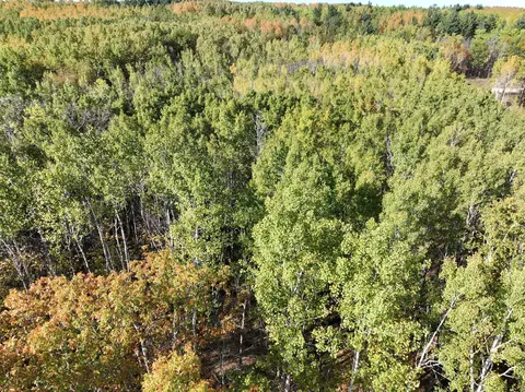 tbd Cedar Crest Loop NW, Walker, MN 56484 photo 6