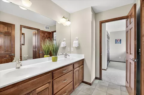 Bath - 3967 Wild Meadows Dr, Hamel, MN 55340 photo 6 of 10