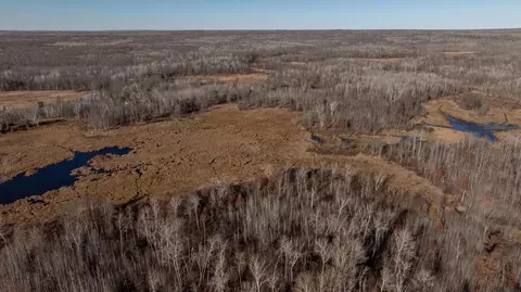 Other - 6876 County Road 1, Pine River, MN 56474 photo 2 of 16