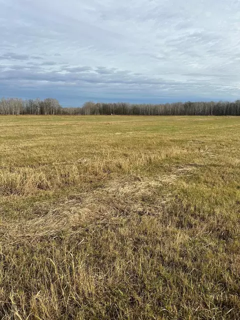 tbd 54th Ave SW, Pine River, MN 56474