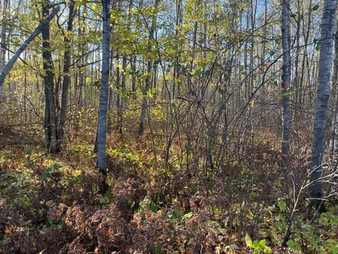 tbd 4 Oak Leaf Rd, Kerrick, MN 55756 photo 12