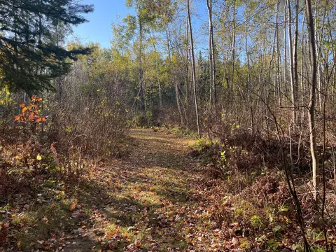tbd 4 Oak Leaf Rd, Kerrick, MN 55756 photo 2