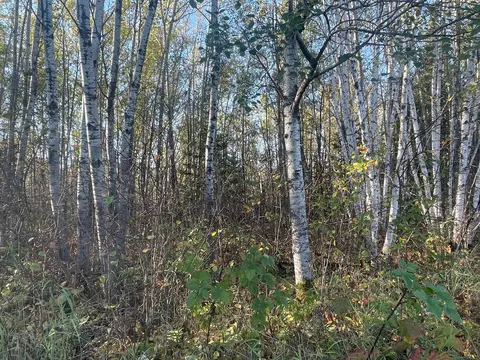 tbd 4 Oak Leaf Rd, Kerrick, MN 55756 photo 11