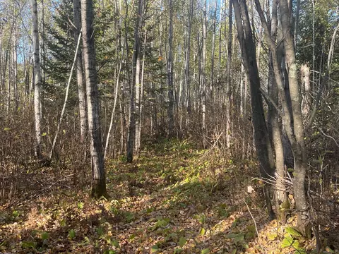 tbd 4 Oak Leaf Rd, Kerrick, MN 55756 photo 6
