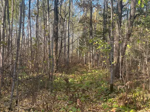 tbd 4 Oak Leaf Rd, Kerrick, MN 55756 photo 9